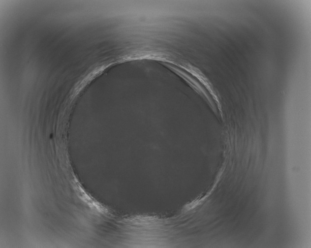 X0000080670577200612221119