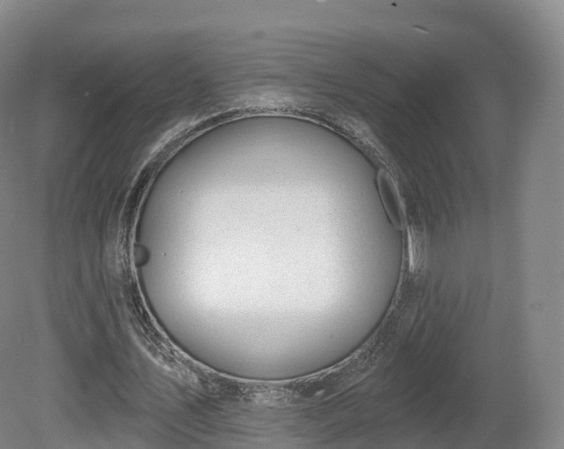 X0000080670579200612221119