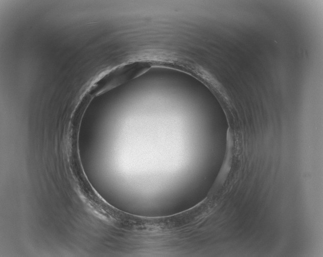 X0000080670580200612221119