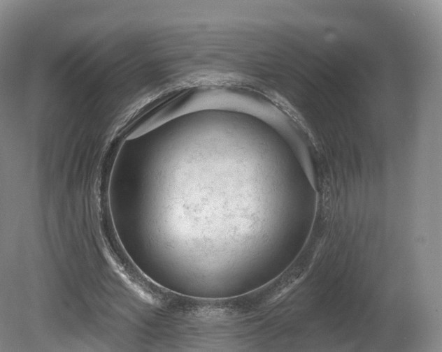 X0000080670581200612221119