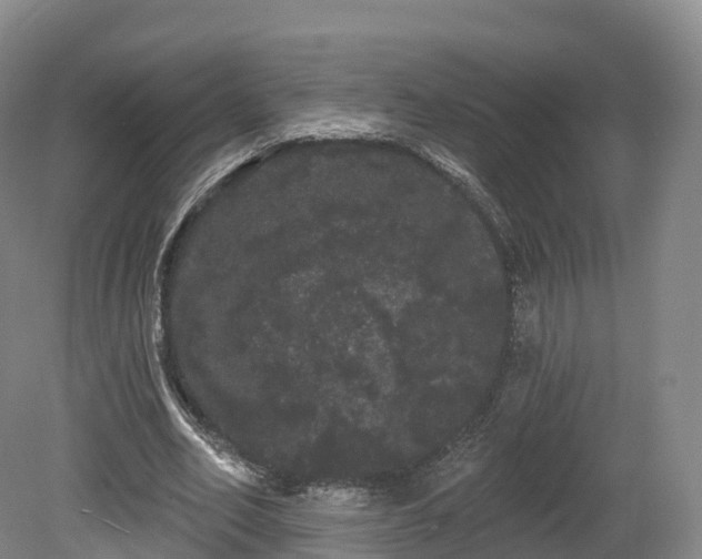 X0000080670582200612221119