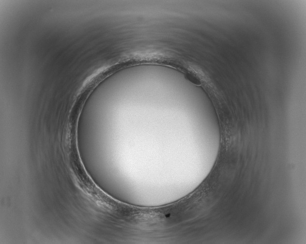 X0000080670583200612221119