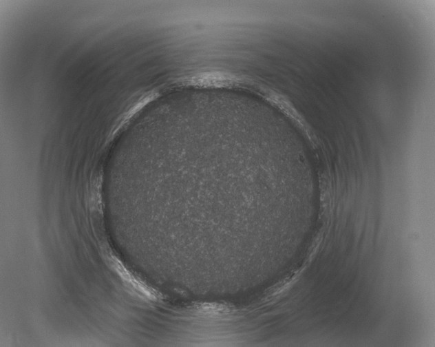 X0000080670585200612221119