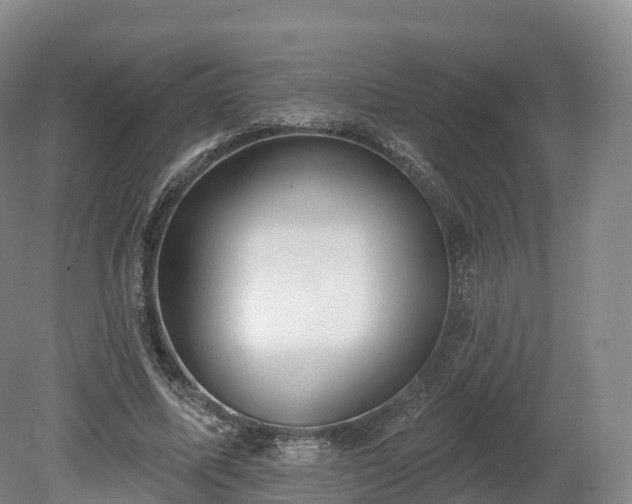 X0000080670587200612221119