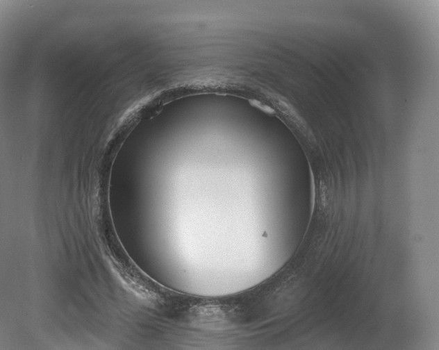 X0000080670588200612221119