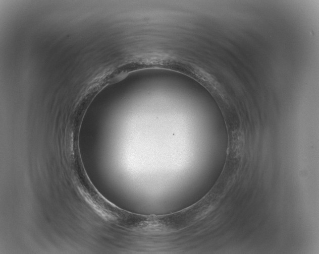 X0000080670589200612221119