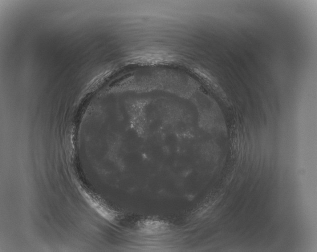 X0000080670590200612221119