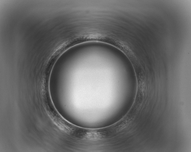 X0000080670591200612221119