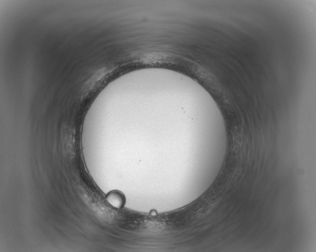 X0000080670592200612221119