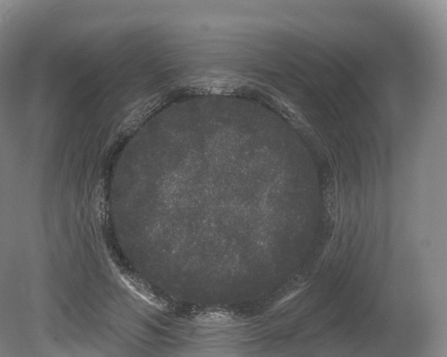 X0000080670594200612221119