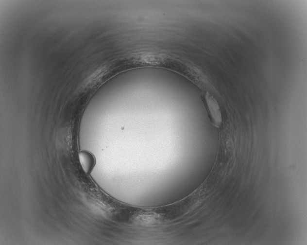 X0000080670595200612221119