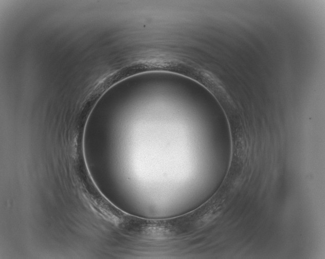 X0000080670596200612221119