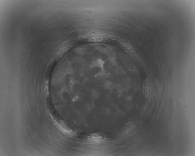 X0000080670598200612221119