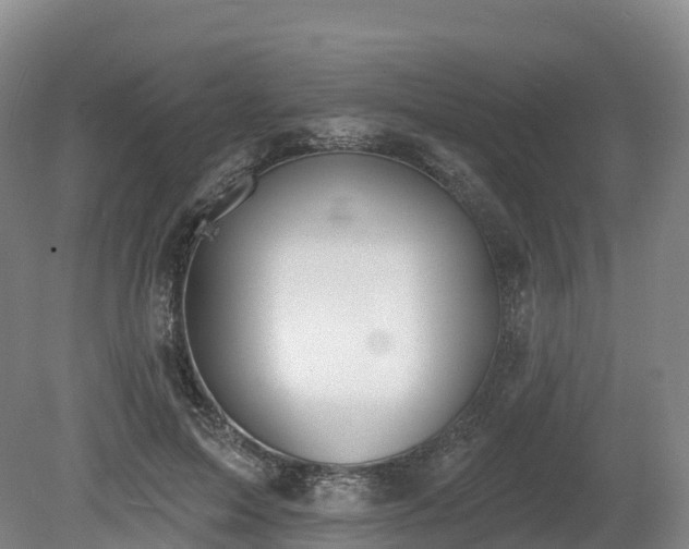 X0000080670599200612221119