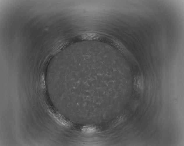 X0000080670602200612221119