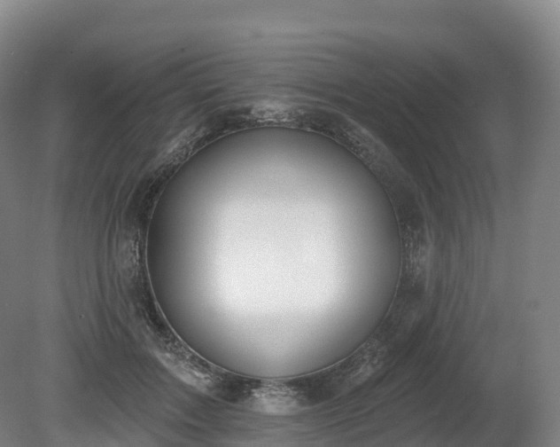 X0000080670603200612221119