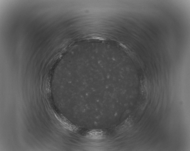 X0000080670606200612221119