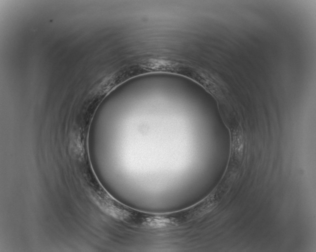 X0000080670607200612221118