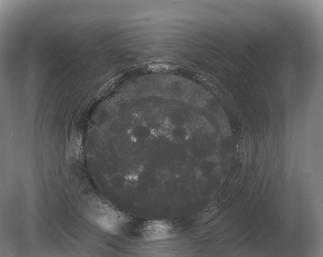 X0000080670610200612221118