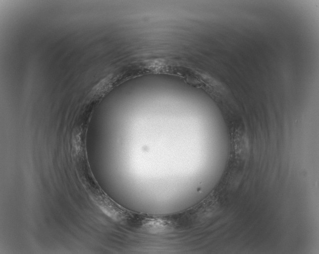 X0000080670611200612221118