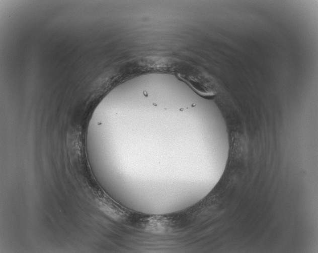 X0000080670612200612221118