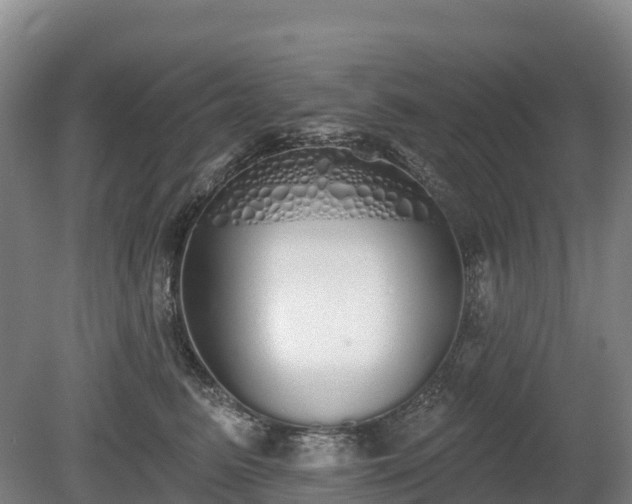 X0000080670615200612221118