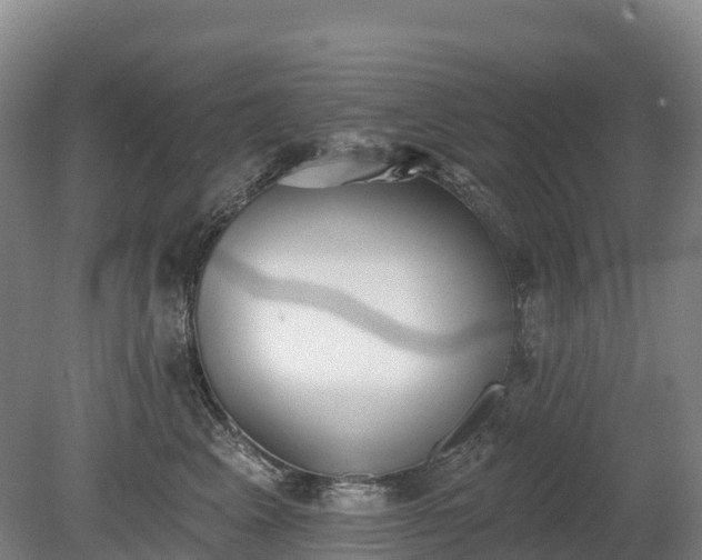 X0000080670617200612221118