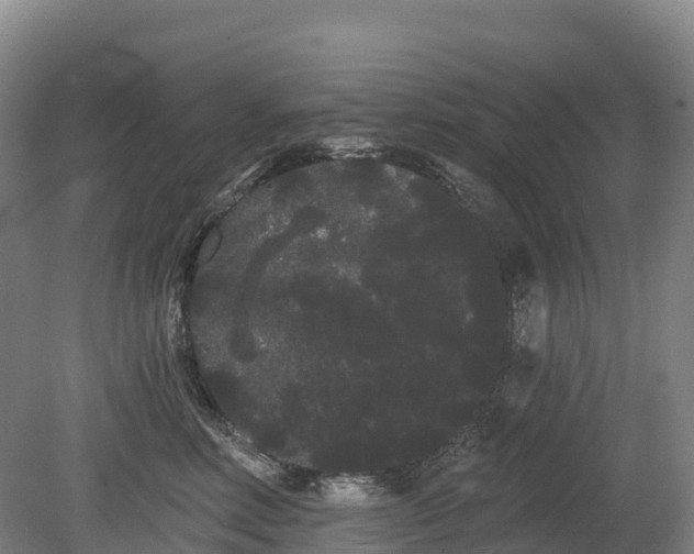 X0000080670618200612221118