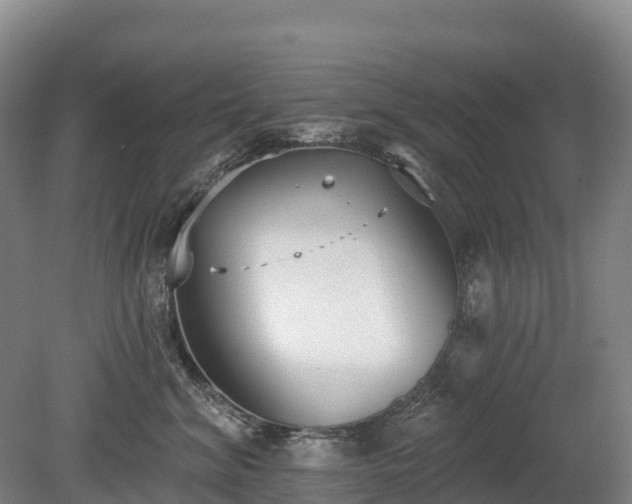 X0000080670620200612221118