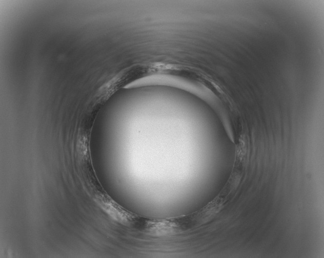 X0000080670621200612221118