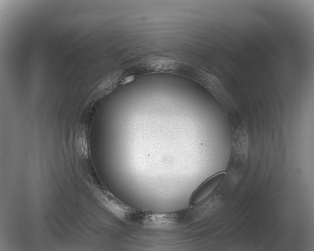 X0000080670622200612221118