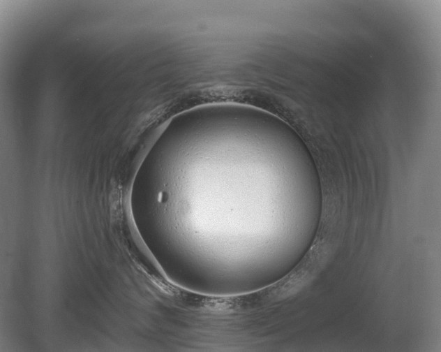 X0000080670624200612221118