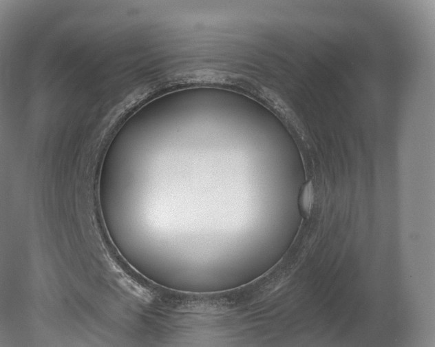 X0000080670625200612221117