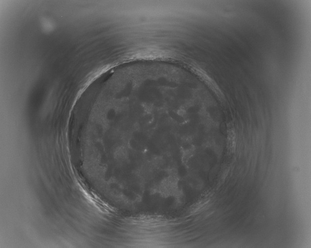 X0000080670626200612221117