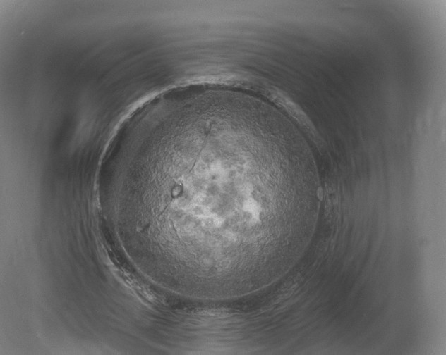 X0000080670628200612221117