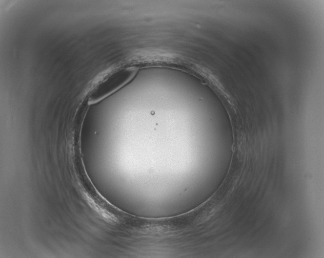 X0000080670629200612221117