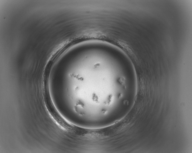 X0000080670630200612221117