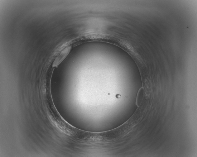 X0000080670631200612221117