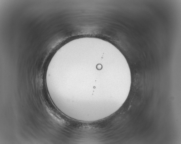 X0000080670632200612221118