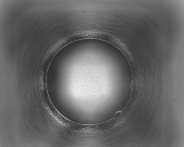 X0000080670633200612221118