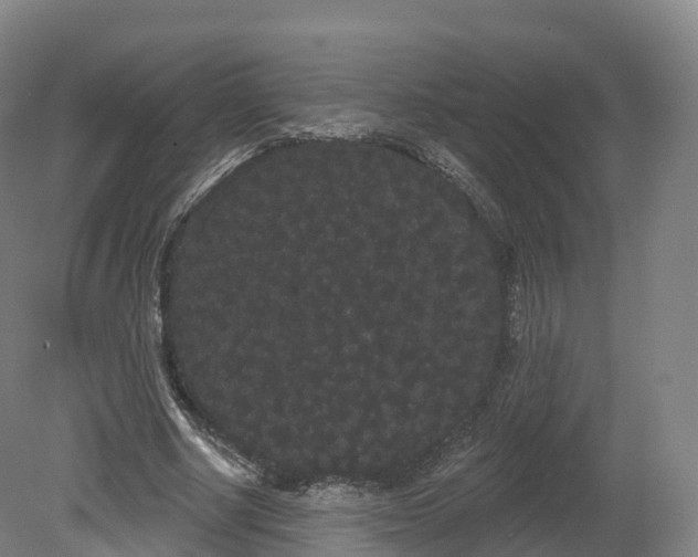 X0000080670634200612221118