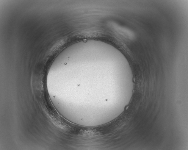 X0000080670635200612221118