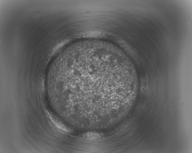 X0000080670636200612221118