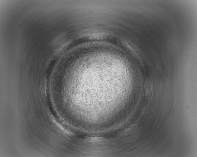 X0000080670637200612221118