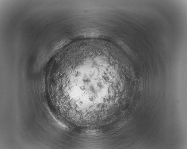 X0000080670638200612221118