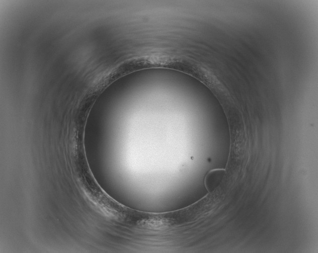 X0000080670639200612221118