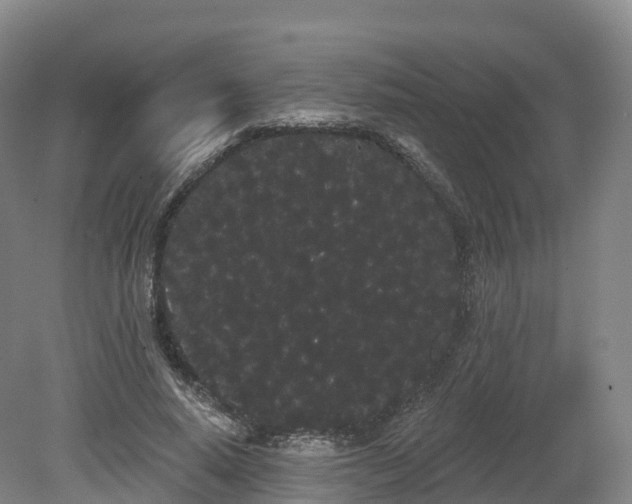 X0000080670640200612221118