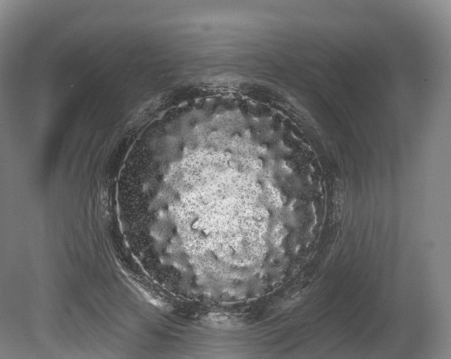 X0000080670641200612221118