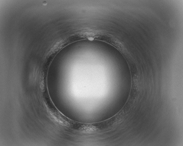 X0000080670642200612221118