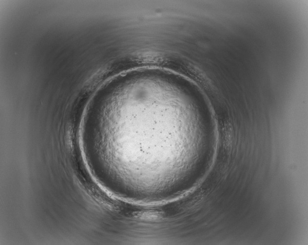 X0000080670643200612221118